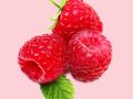 Raspberries