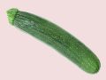 Zucchini