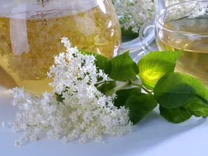 Elderflower Tea Elderflower Tea