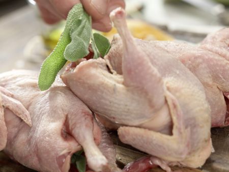 Braised Quail preparation step 4 Braised Quail preparation step 4