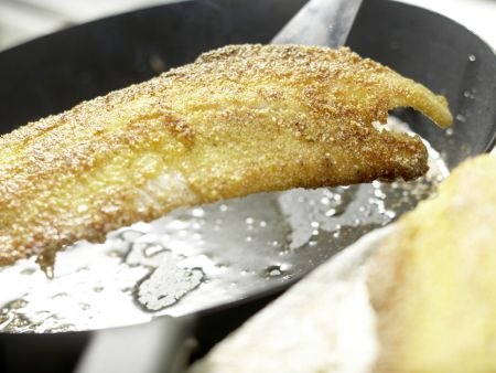 Cornmeal-Crusted Trout Fillets preparation step 11 Cornmeal-Crusted Trout Fillets preparation step 11