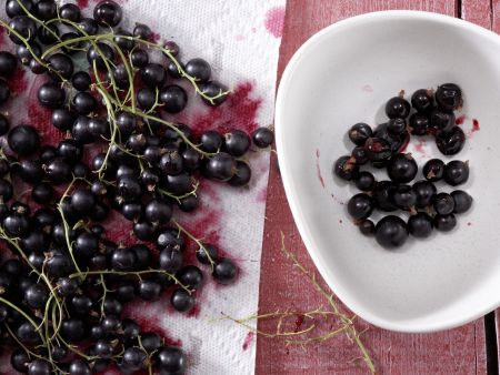 Kefir with Black Currants preparation step 1 Kefir with Black Currants preparation step 1