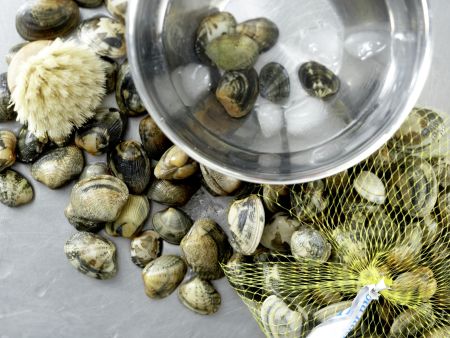 Marinated Clams preparation step 1 Marinated Clams preparation step 1