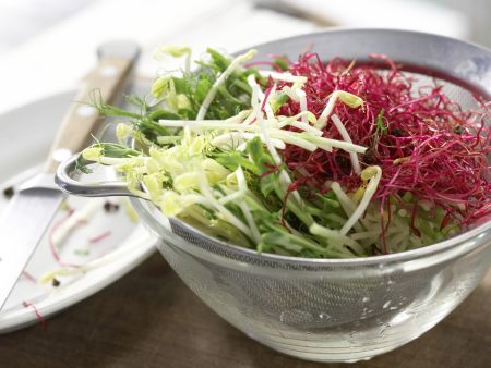 Turnip Salad with Sprouts preparation step 7 Turnip Salad with Sprouts preparation step 7
