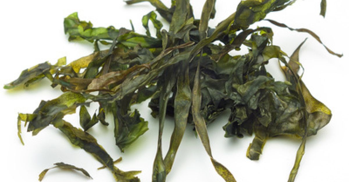 The Power of Kelp | EatSmarter! | Eat Smarter USA