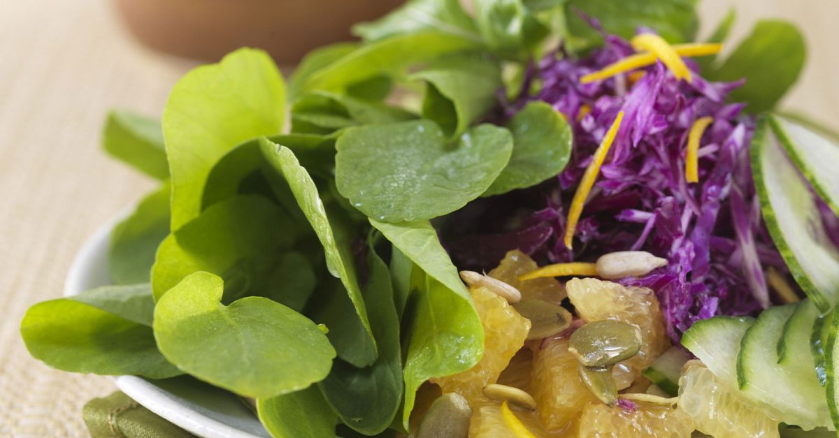 Featured image of post Simple Way to Cabbage Grapefruit Salad