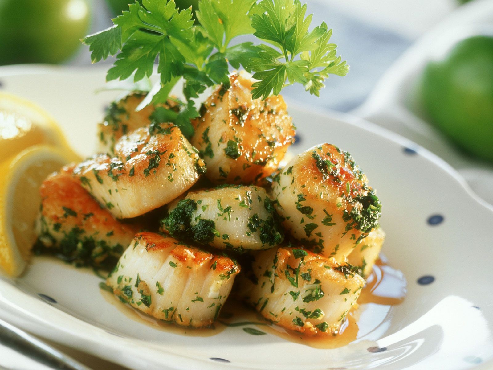 Seared scallops in white wine sauce recipe eat smarter usa
