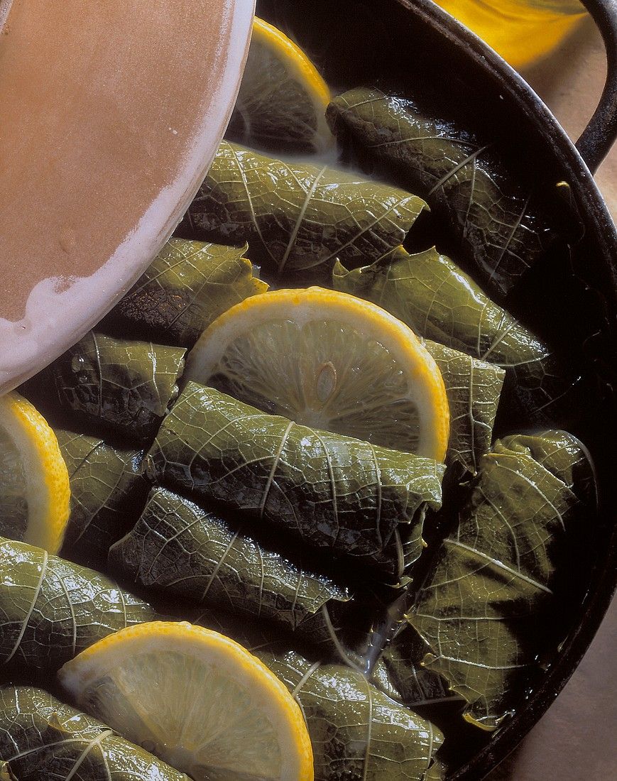 Stuffed Grape Leaves Recipe Eat Smarter USA Stuffed Grape Leaves 603708