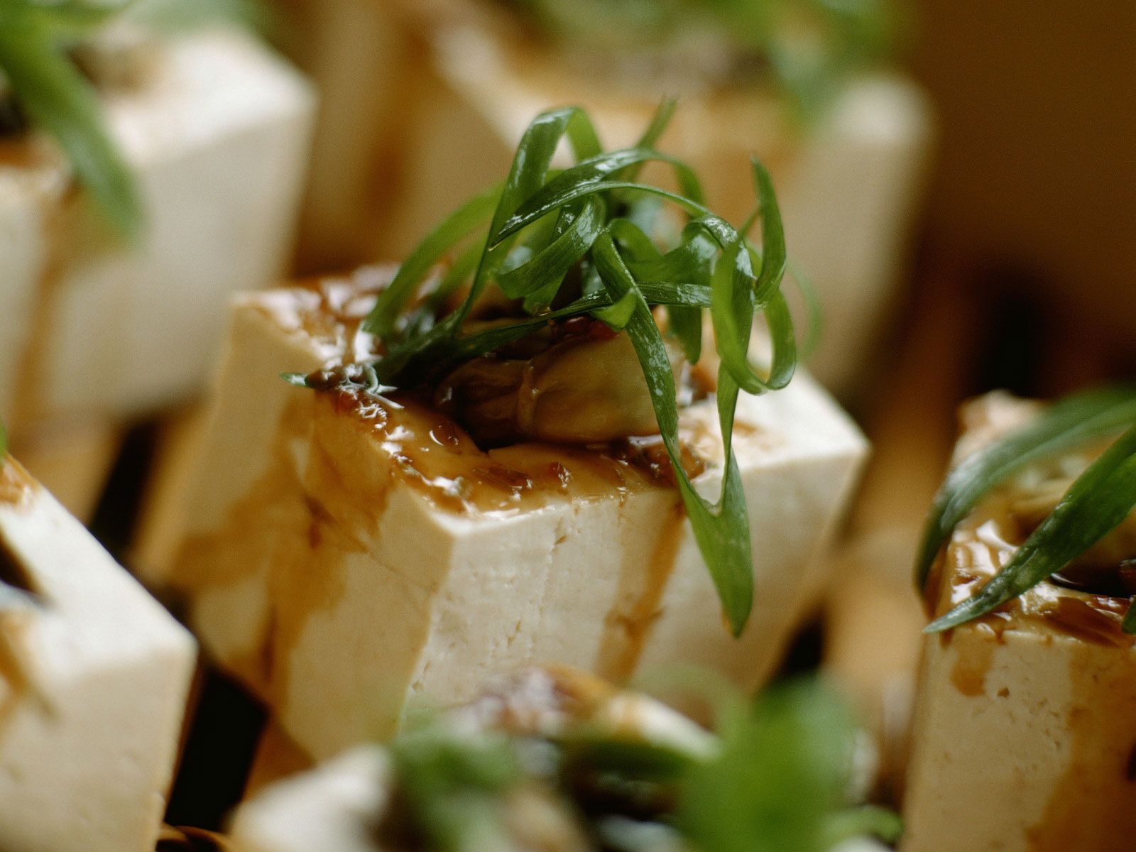 Stuffed Tofu with Leeks and Mushrooms-image
